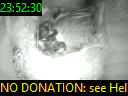 23:52:30
