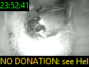 23:52:41