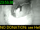 23:53:38