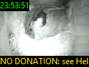 23:53:51