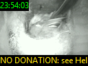 23:54:03