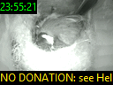 23:55:21
