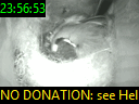 23:56:53