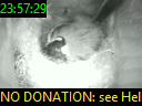 23:57:29
