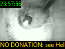 23:57:56
