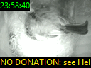 23:58:40
