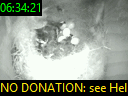 06:34:21