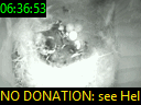 06:36:53