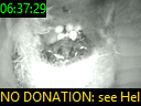 06:37:29