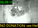 06:39:10