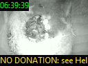 06:39:39