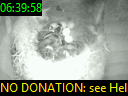 06:39:58