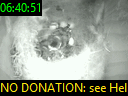 06:40:51