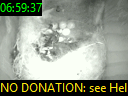 06:59:37