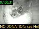 07:00:31