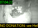 07:04:22