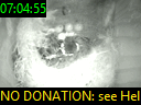 07:04:55