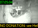 07:05:04