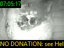 07:05:17