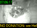 07:06:17