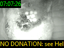 07:07:26