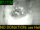 07:17:52