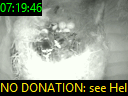 07:19:46