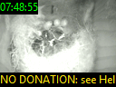 07:48:55