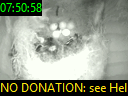 07:50:58