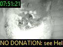 07:51:21