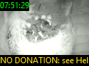 07:51:29
