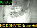07:53:07