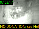 07:53:17