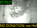 07:55:25