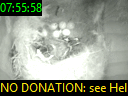07:55:58