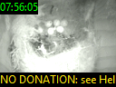 07:56:05