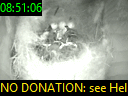 08:51:06