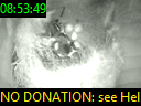 08:53:49