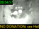 08:54:57