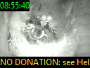 08:55:40