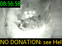 08:56:58