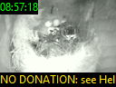08:57:18