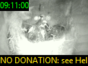 09:11:00