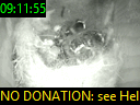 09:11:55