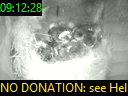 09:12:28