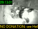 09:13:01