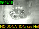 09:48:18