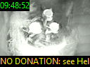 09:48:52