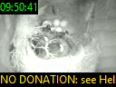 09:50:41