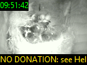 09:51:42